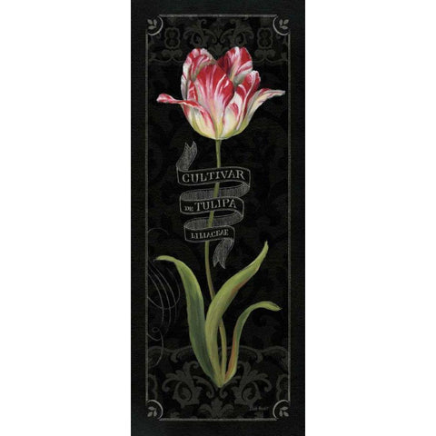 Tulipa Botanica III Gold Ornate Wood Framed Art Print with Double Matting by Audit, Lisa