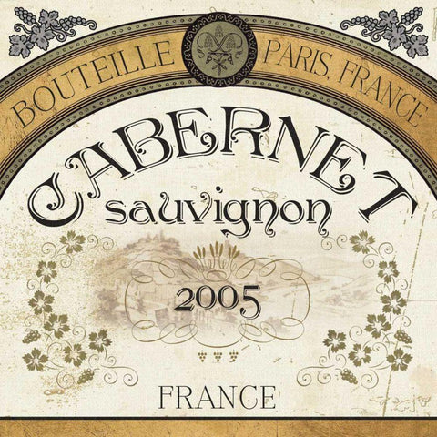 Wine Labels I Black Modern Wood Framed Art Print by Pela Studio