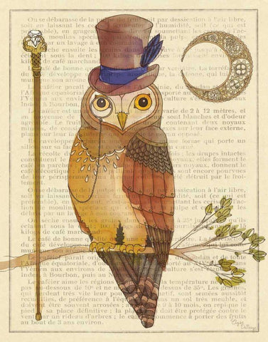 Steampunk Owl II Black Ornate Wood Framed Art Print with Double Matting by DeNeige, Elyse