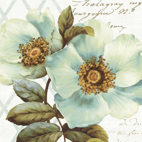 White Floral Bliss I Black Modern Wood Framed Art Print with Double Matting by Audit, Lisa