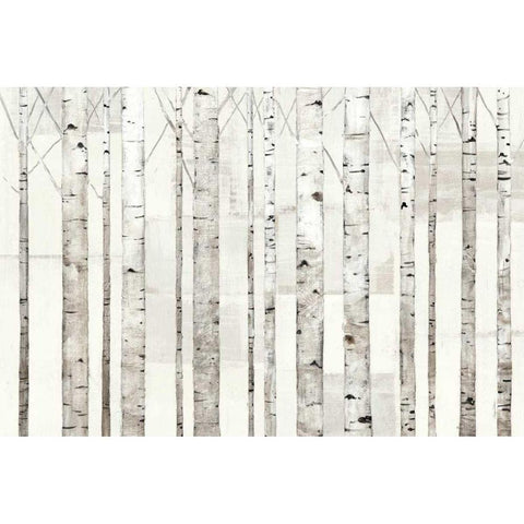 Birch Trees on White White Modern Wood Framed Art Print by Tillmon, Avery