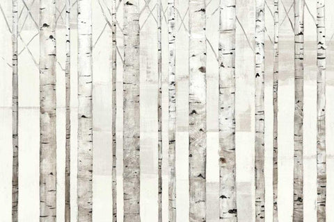 Birch Trees on White Black Ornate Wood Framed Art Print with Double Matting by Tillmon, Avery