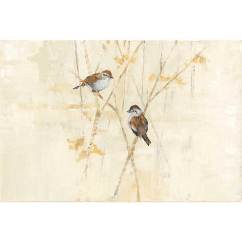 Winter Birds Black Modern Wood Framed Art Print with Double Matting by Tillmon, Avery