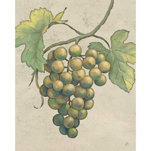 Lovely Fruits IV Neutral Plain Gold Ornate Wood Framed Art Print with Double Matting by Brissonnet, Daphne