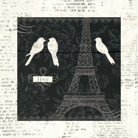 Love Paris I with Border Black Ornate Wood Framed Art Print with Double Matting by Adams, Emily
