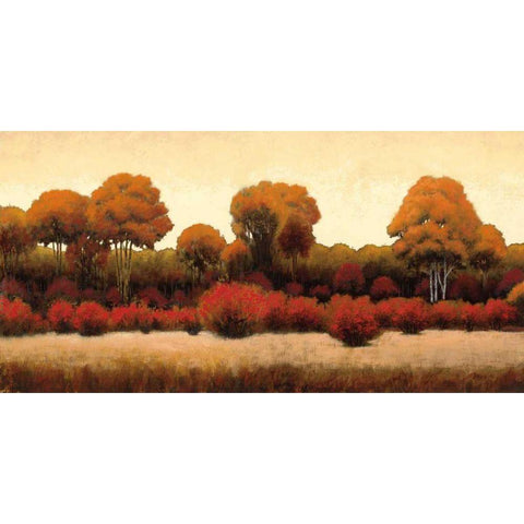 Autumn Forest III Gold Ornate Wood Framed Art Print with Double Matting by Wiens, James