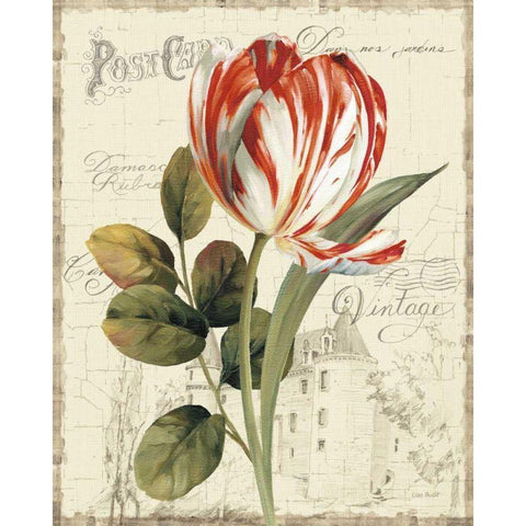 Garden View II - Red Tulip White Modern Wood Framed Art Print by Audit, Lisa