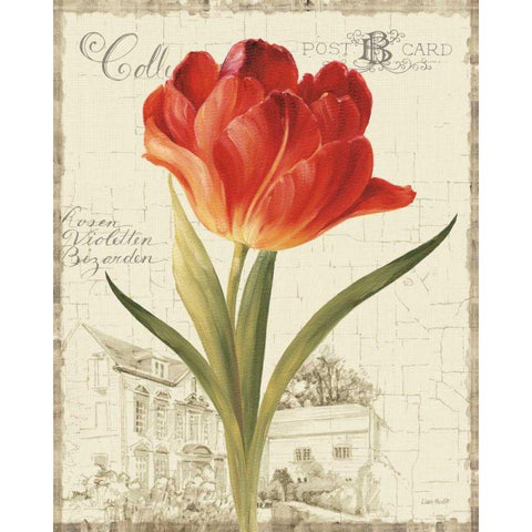 Garden View III - Red Tulip Gold Ornate Wood Framed Art Print with Double Matting by Audit, Lisa