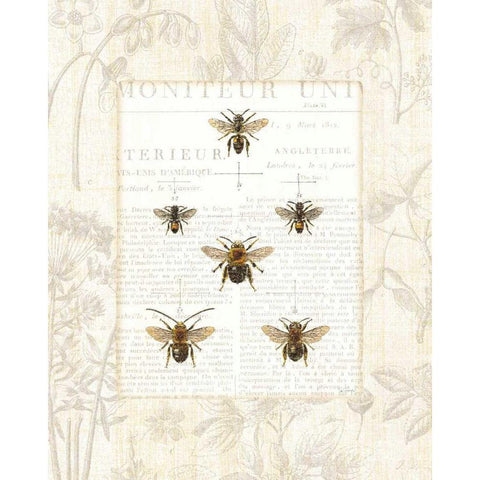 Bee Botanical Black Modern Wood Framed Art Print with Double Matting by Schlabach, Sue