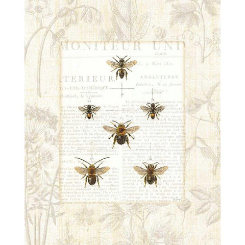 Bee Botanical Black Modern Wood Framed Art Print by Schlabach, Sue