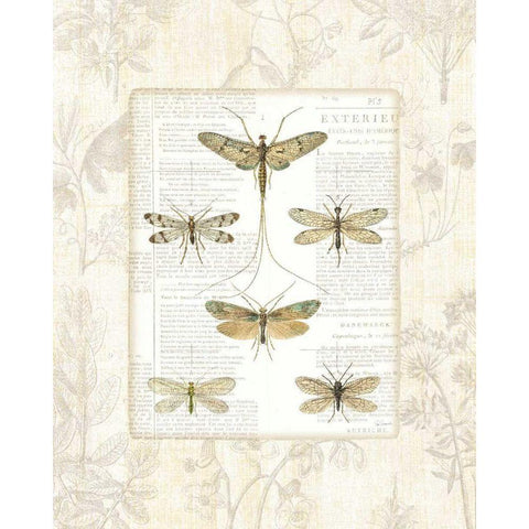 Dragonfly Botanical Gold Ornate Wood Framed Art Print with Double Matting by Schlabach, Sue