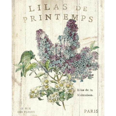 Lilas de Printemps White Modern Wood Framed Art Print by Schlabach, Sue