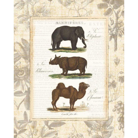 African Animals II Gold Ornate Wood Framed Art Print with Double Matting by Wild Apple Portfolio