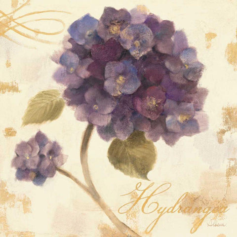 Abundant Hydrangea I White Modern Wood Framed Art Print with Double Matting by Hristova, Albena
