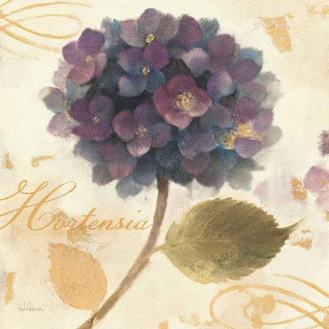 Abundant Hydrangea II White Modern Wood Framed Art Print by Hristova, Albena
