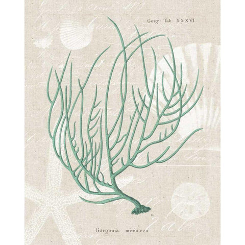 Gorgonia Miniacea on Linen Sea Foam White Modern Wood Framed Art Print by Wild Apple Portfolio