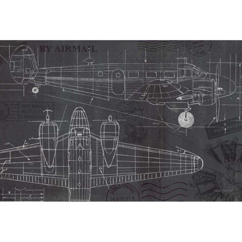 Plane Blueprint I Gold Ornate Wood Framed Art Print with Double Matting by Fabiano, Marco