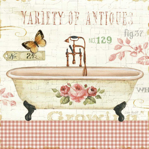 Rose Garden III Sq no Border White Modern Wood Framed Art Print by Audit, Lisa