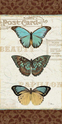 Papillons II Black Ornate Wood Framed Art Print with Double Matting by Pela Studio