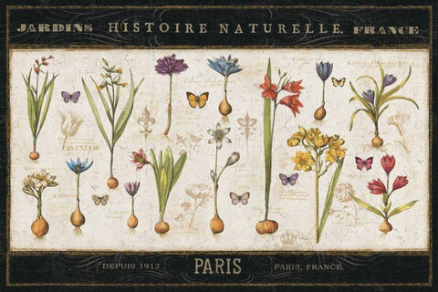 Histoire Naturelle I White Modern Wood Framed Art Print with Double Matting by ERR, Pela