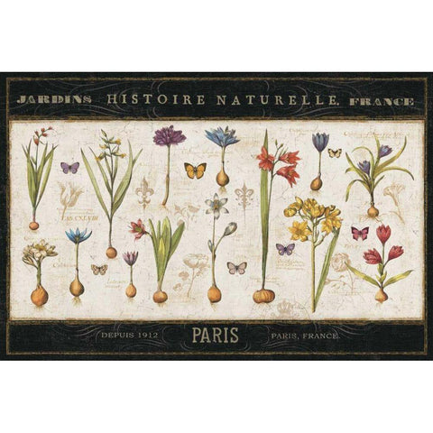 Histoire Naturelle I Black Modern Wood Framed Art Print by ERR, Pela