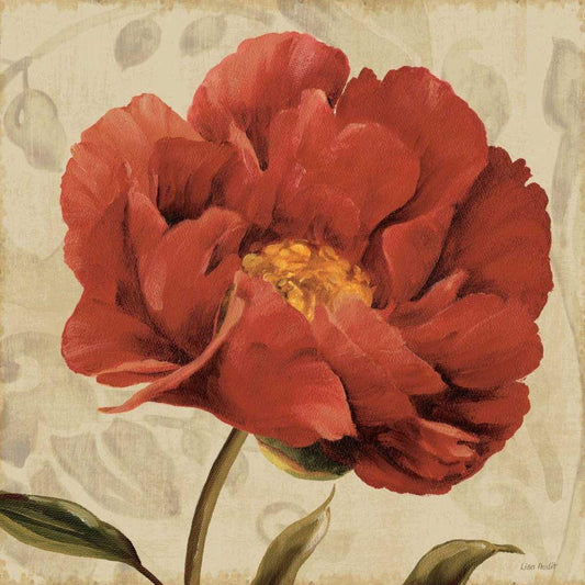 Image Only