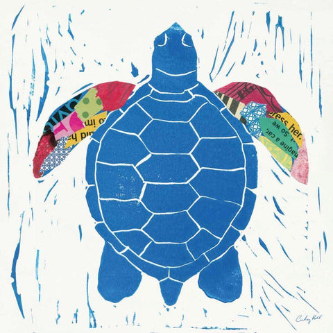 Sea Creature Turtle Color White Modern Wood Framed Art Print with Double Matting by Prahl, Courtney