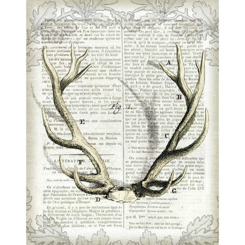 Regal Antlers on Newsprint I Black Modern Wood Framed Art Print with Double Matting by Schlabach, Sue