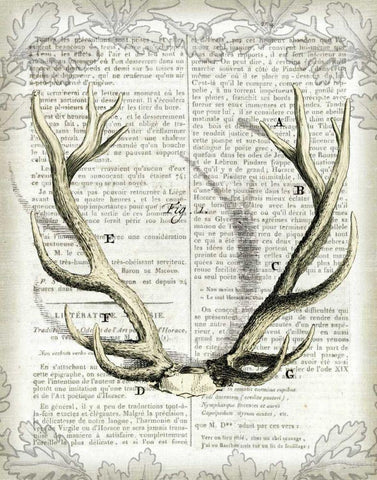 Regal Antlers on Newsprint I White Modern Wood Framed Art Print with Double Matting by Schlabach, Sue