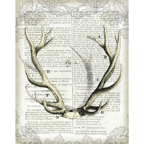 Regal Antlers on Newsprint I Black Modern Wood Framed Art Print by Schlabach, Sue