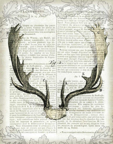 Regal Antlers on Newsprint II Black Ornate Wood Framed Art Print with Double Matting by Schlabach, Sue