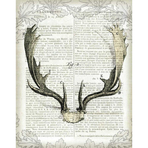Regal Antlers on Newsprint II Gold Ornate Wood Framed Art Print with Double Matting by Schlabach, Sue