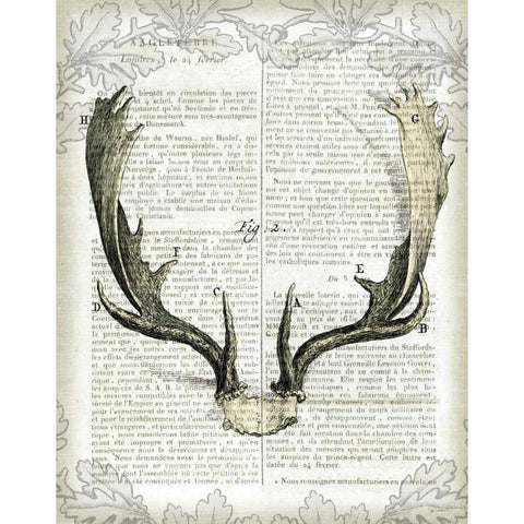 Regal Antlers on Newsprint II White Modern Wood Framed Art Print by Schlabach, Sue