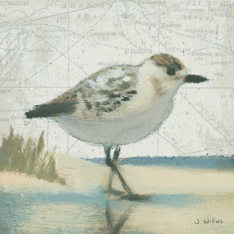 Beach Bird I White Modern Wood Framed Art Print by Wiens, James