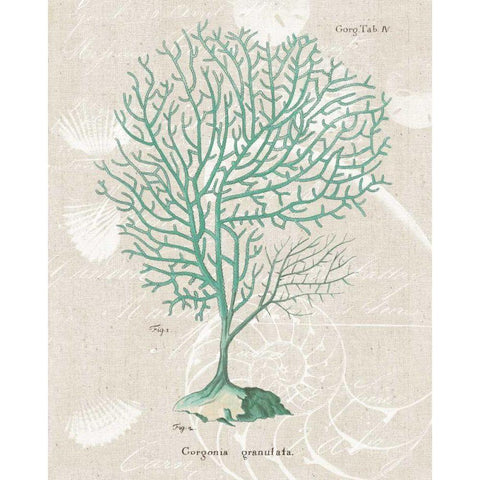 Gorgonia Granulata on Linen Sea Foam Black Modern Wood Framed Art Print by Wild Apple Portfolio