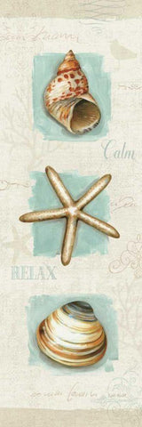 Coastal Jewels Panel I White Modern Wood Framed Art Print with Double Matting by Audit, Lisa