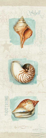 Coastal Jewels Panel II Black Ornate Wood Framed Art Print with Double Matting by Audit, Lisa