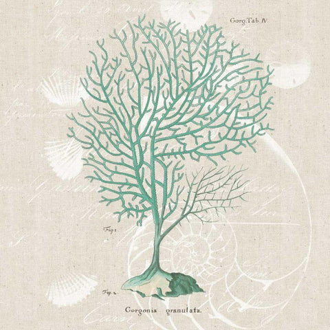 Gorgonia Granulata White Modern Wood Framed Art Print by Wild Apple Portfolio