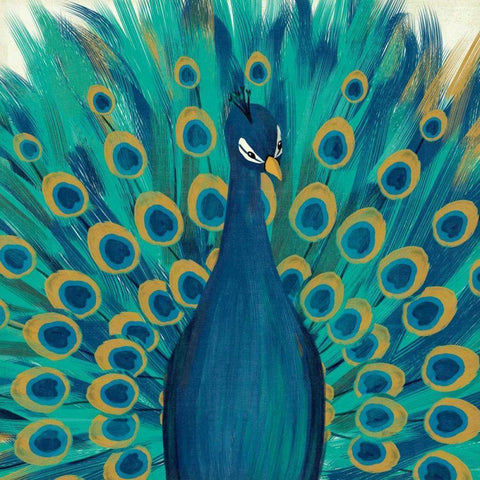 Proud as a Peacock I Black Modern Wood Framed Art Print with Double Matting by Charron, Veronique