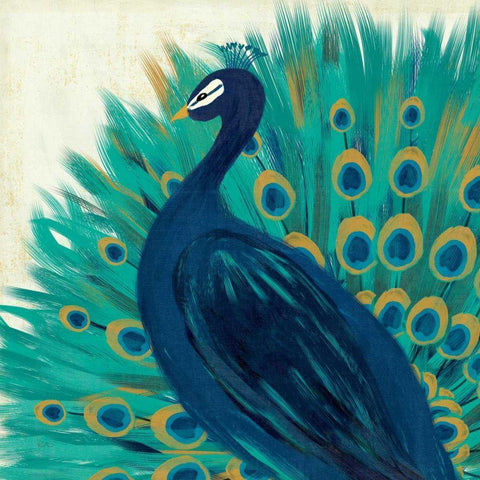 Proud as a Peacock II Black Modern Wood Framed Art Print by Charron, Veronique