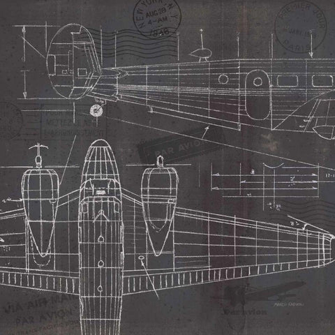 Plane Blueprint II Black Ornate Wood Framed Art Print with Double Matting by Fabiano, Marco