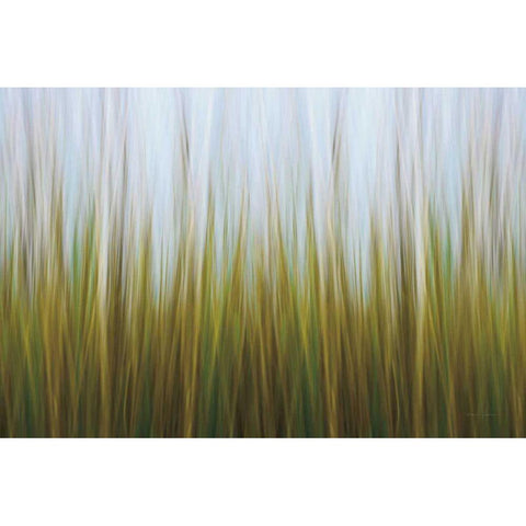 Sea Grass Canvas Black Modern Wood Framed Art Print with Double Matting by Gendreau, Katherine