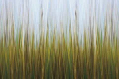 Sea Grass Canvas Black Ornate Wood Framed Art Print with Double Matting by Gendreau, Katherine