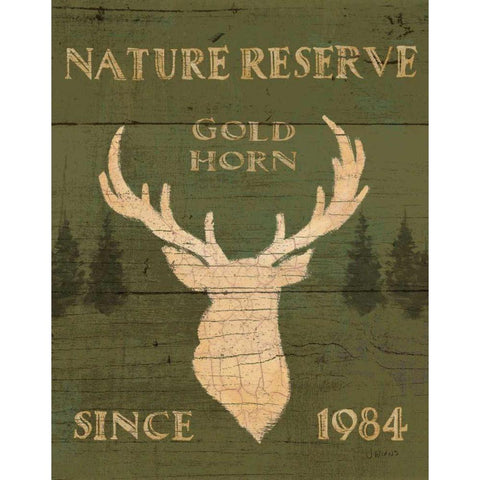 Lodge Signs IX Green Gold Ornate Wood Framed Art Print with Double Matting by Wiens, James