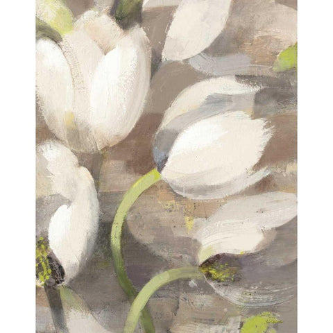 Tulip Delight II White Modern Wood Framed Art Print by Hristova, Albena