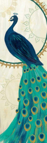 Proud as a Peacock IV White Modern Wood Framed Art Print with Double Matting by Charron, Veronique
