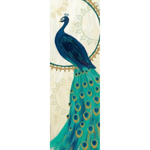 Proud as a Peacock IV Black Modern Wood Framed Art Print with Double Matting by Charron, Veronique