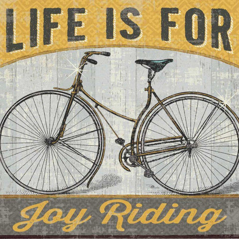 Joy Ride I Black Modern Wood Framed Art Print with Double Matting by Pela Studio