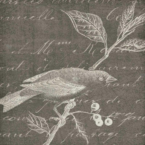 Botanical Beauty Chalk Square I Gold Ornate Wood Framed Art Print with Double Matting by Wild Apple Portfolio