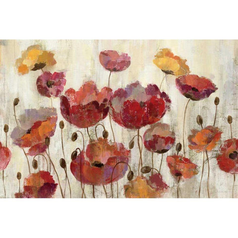 Poppies in the Rain White Modern Wood Framed Art Print by Vassileva, Silvia